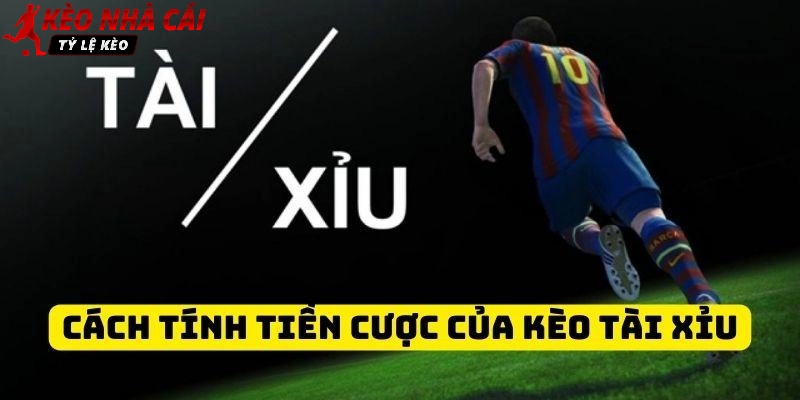 Cược Tài Xỉu siêu đơn giản và dễ thắng