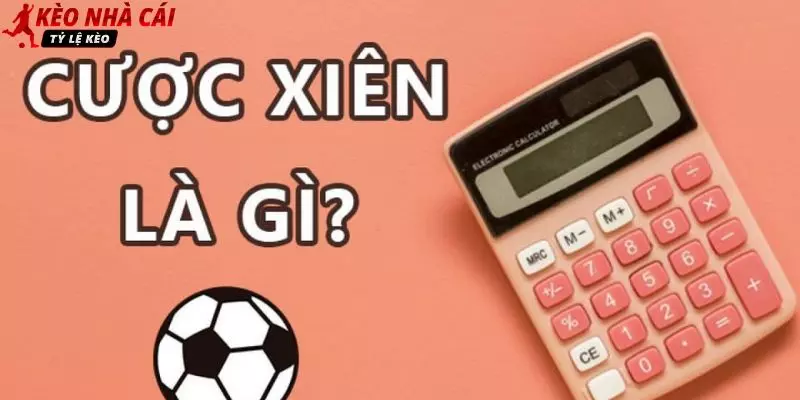 Cược xâu là gì được nhiều hội viên quan tâm tìm hiểu