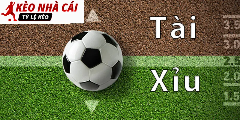 Những điều tân thủ cần tránh khi soi kèo tài xỉu 2-2.5